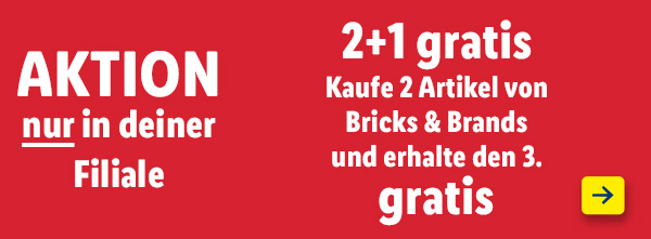 Aktion NUR in deiner Filiale: 2+1 gratis – Kaufe 2 Artikel von Bricks & Brands und erhalte den 3. gratis